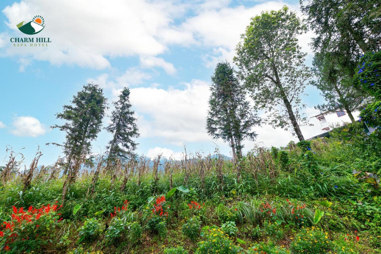Charm Hill Sapa Hotel 外观 照片